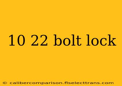 10 22 bolt lock