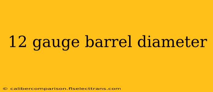 12 gauge barrel diameter