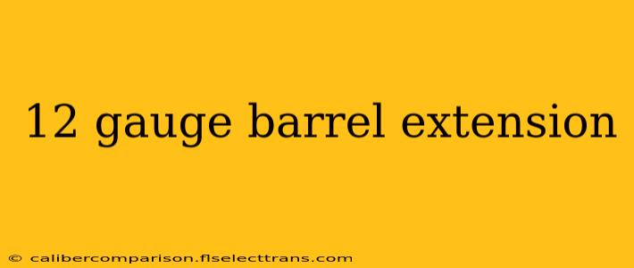 12 gauge barrel extension