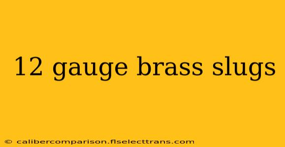 12 gauge brass slugs