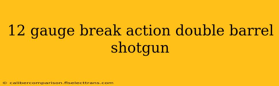 12 gauge break action double barrel shotgun