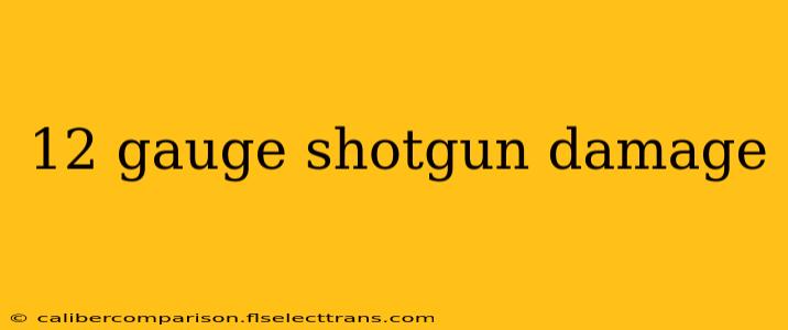 12 gauge shotgun damage