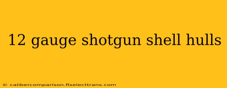 12 gauge shotgun shell hulls