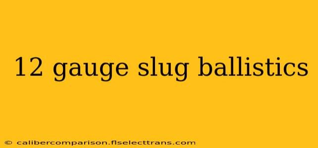 12 gauge slug ballistics