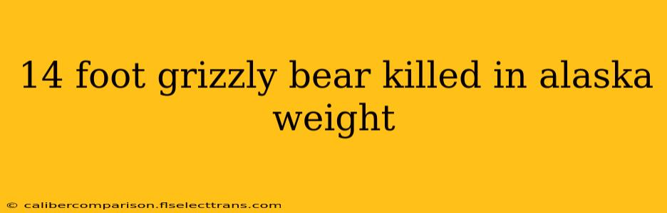 14 foot grizzly bear killed in alaska weight