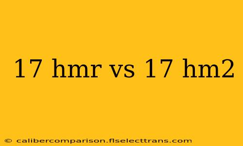 17 hmr vs 17 hm2