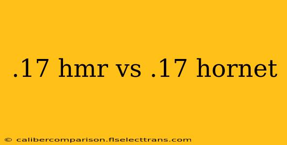 .17 hmr vs .17 hornet