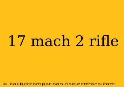 17 mach 2 rifle