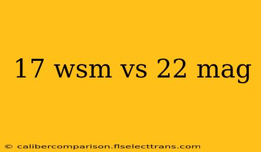 17 wsm vs 22 mag