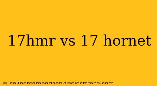 17hmr vs 17 hornet