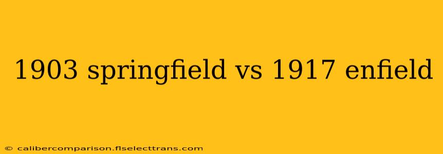 1903 springfield vs 1917 enfield