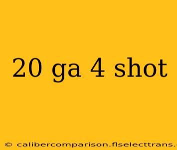 20 ga 4 shot