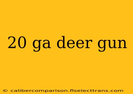 20 ga deer gun