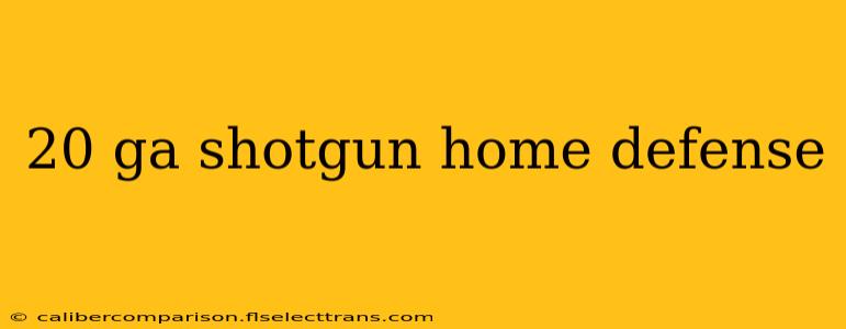 20 ga shotgun home defense