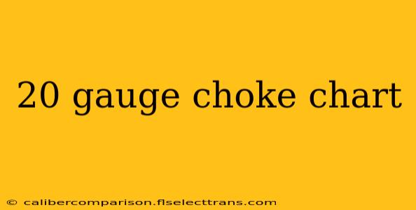 20 gauge choke chart