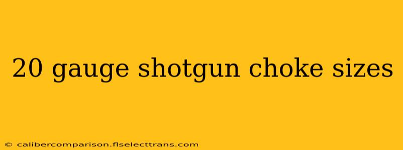 20 gauge shotgun choke sizes