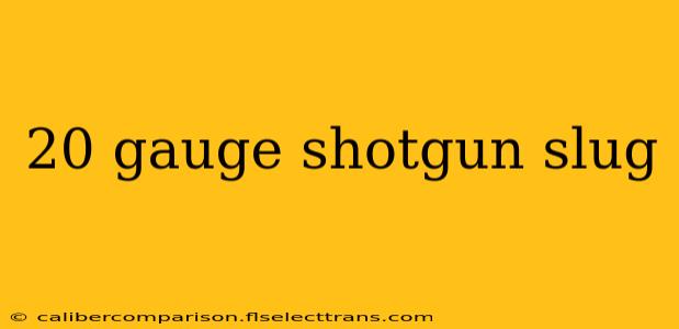 20 gauge shotgun slug