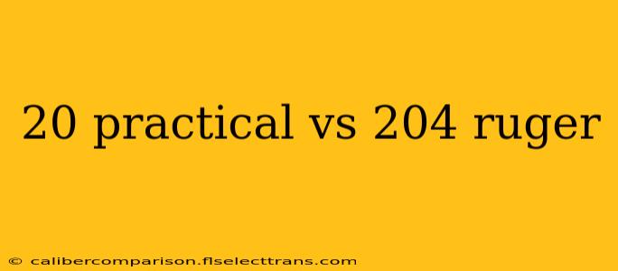 20 practical vs 204 ruger