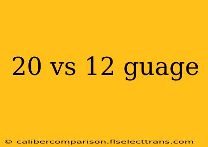 20 vs 12 guage