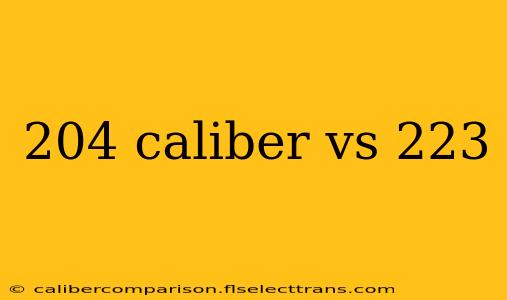 204 caliber vs 223