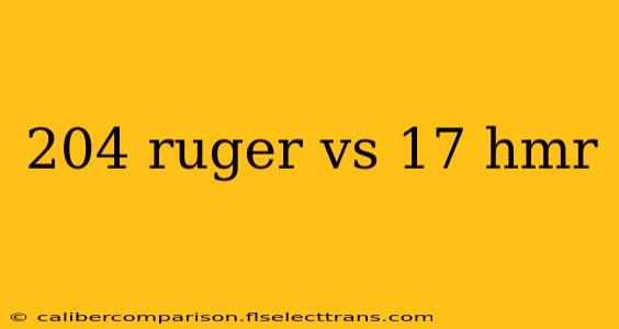 204 ruger vs 17 hmr