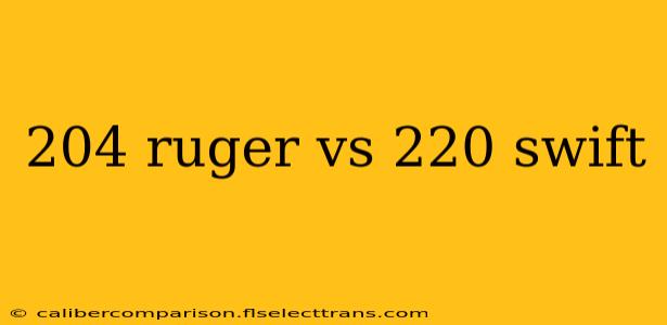 204 ruger vs 220 swift