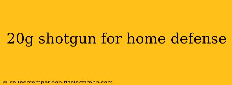 20g shotgun for home defense