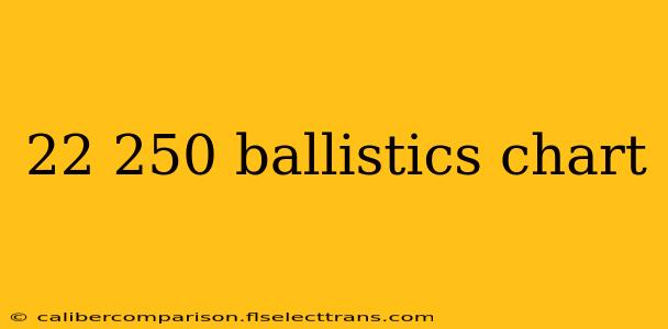 22 250 ballistics chart