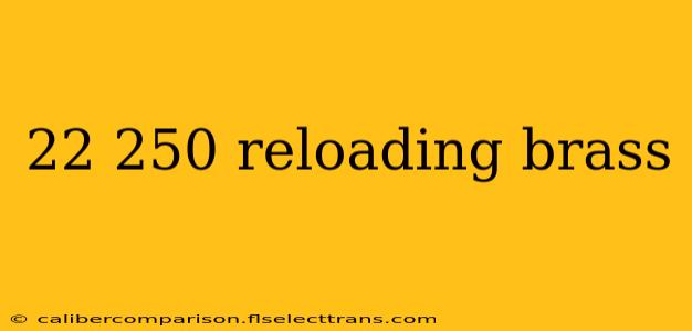 22 250 reloading brass