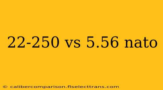 22-250 vs 5.56 nato