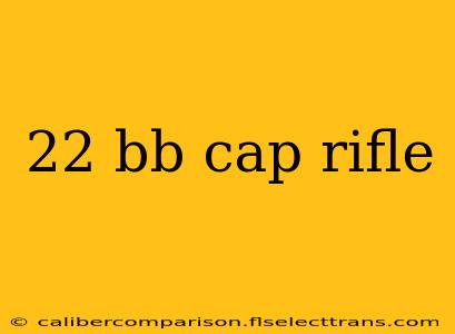 22 bb cap rifle