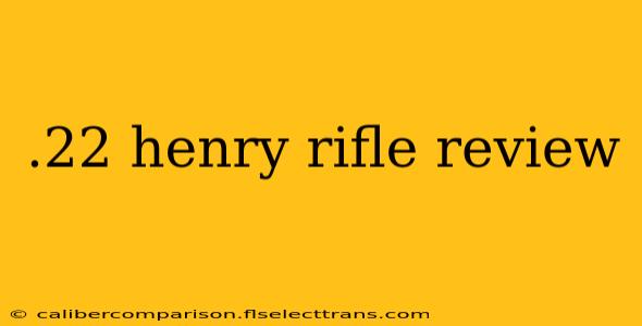 .22 henry rifle review