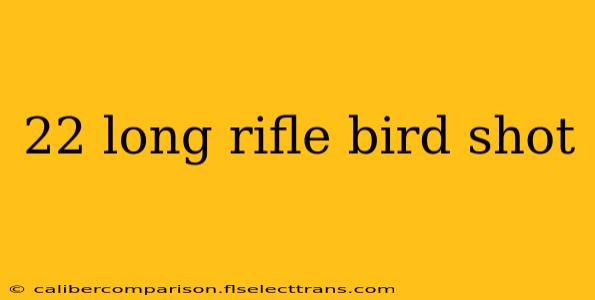 22 long rifle bird shot