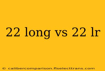 22 long vs 22 lr