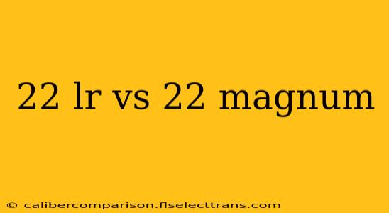 22 lr vs 22 magnum