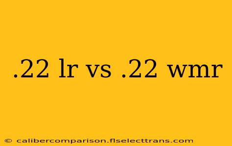 .22 lr vs .22 wmr