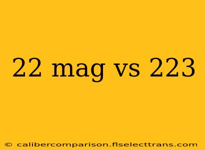 22 mag vs 223