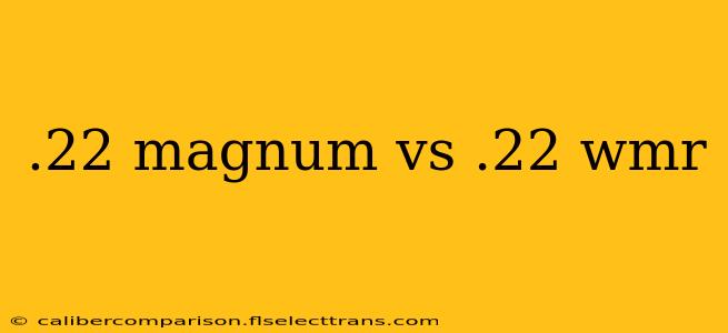 .22 magnum vs .22 wmr