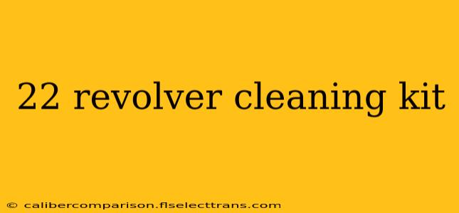 22 revolver cleaning kit