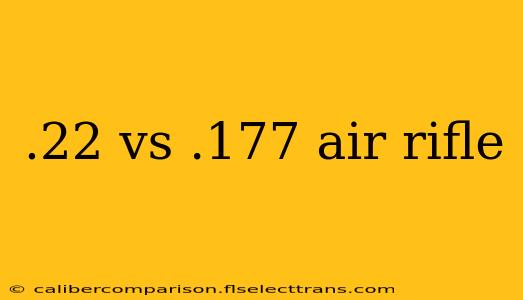 .22 vs .177 air rifle