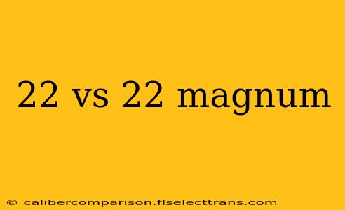 22 vs 22 magnum