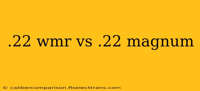 .22 wmr vs .22 magnum