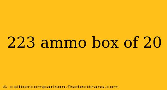 223 ammo box of 20