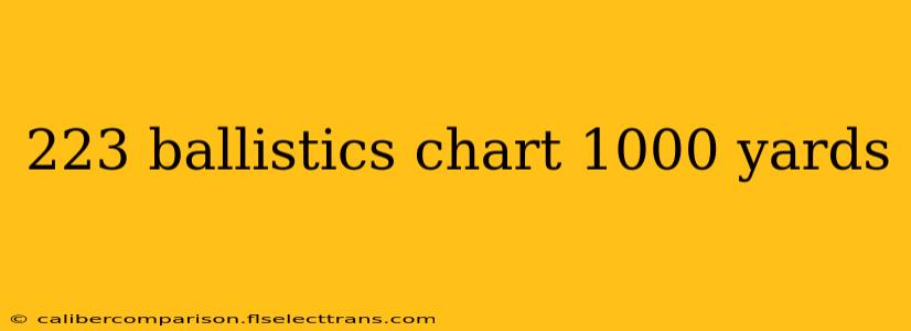 223 ballistics chart 1000 yards