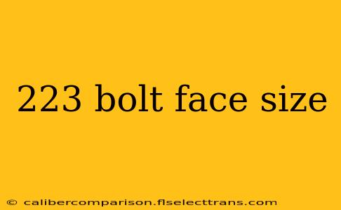 223 bolt face size