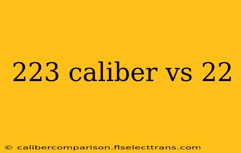 223 caliber vs 22