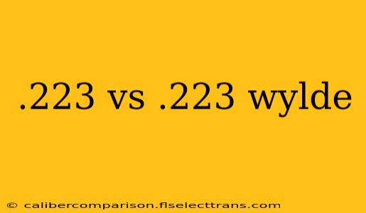 .223 vs .223 wylde