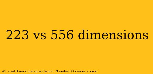 223 vs 556 dimensions