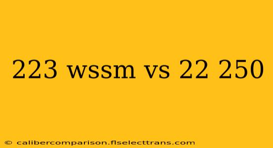 223 wssm vs 22 250