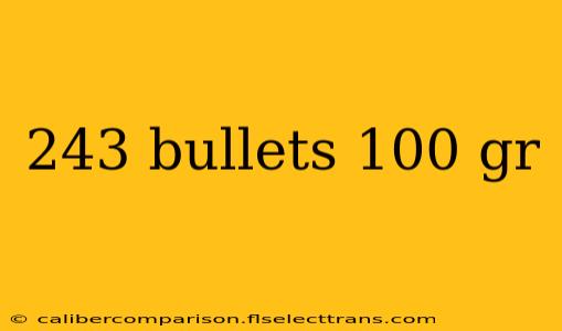 243 bullets 100 gr